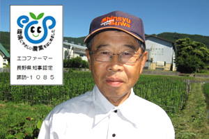 お米 茅野市 米沢