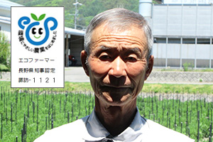 お米 茅野市 米沢