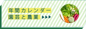 長野 信州 コシヒカリ 美味しい