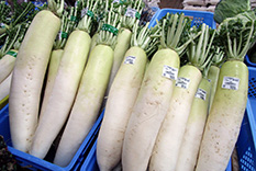 米沢 野菜 産地直営