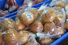 米沢 野菜 産地直営