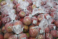 米沢 野菜 産地直営