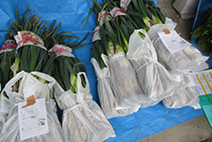 米沢 野菜 産地直営