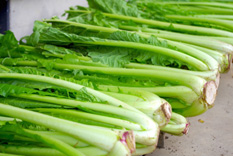 米沢 野菜 産地直営