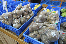 米沢 野菜 産地直営