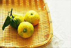 米沢 野菜 産地直営